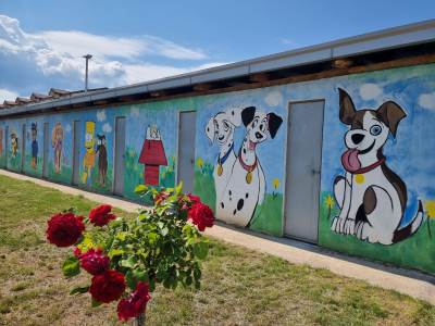  Najavljen protest zbog ukidanja pritvora stranog državljanina osumnjičenog za mučenje životinja  