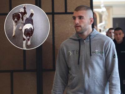  veljko raznatovic psi titel 