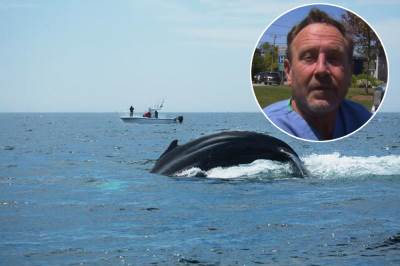  covjek prezivio nakon sto ga je kit stavio u usta 