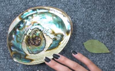  lovorov list pomaze kad radi klima 