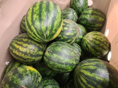  kako treba jesti lubenicu (ljeti) 