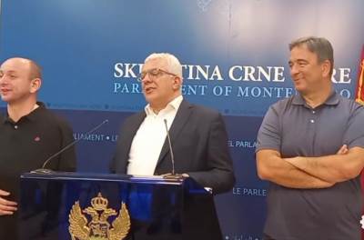  Andrija mandic milan knezevic dejan sekulic svadja u hotelu mazestik 