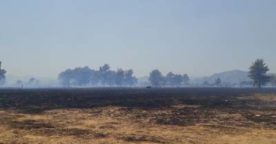  pozar na cemovskom polju  