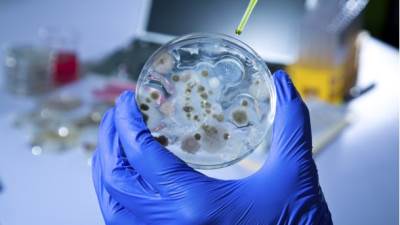  SZO: Hitan sastanak zbog Zika virusa 