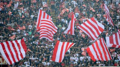  crvena zvezda navijaci 