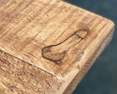  sto sa sarom muskog polnog organa 