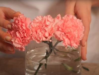  kako da vam cvijece ostane duze svjeze 