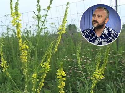  ljeovite biljke hajducka trava kantarion 