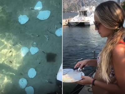  oglasio se autor snimka more tanjiri 