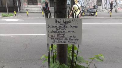  Drveće koje "priča" 