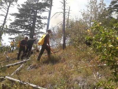  Požar na dijelu Prošćenskih planina, vatra zahvatilaa i nacionalni park Durmitor 
