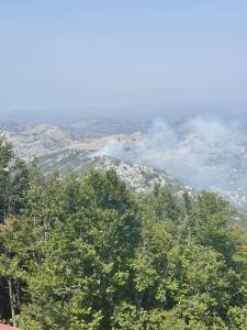  pozar na lovcenu bukovica 