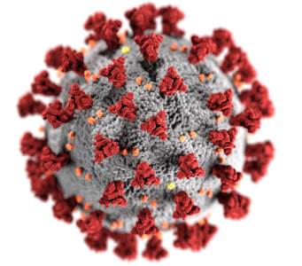  novi presjek koronavirusa u cg 