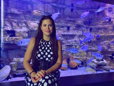  akvarijum boka posjetiti 