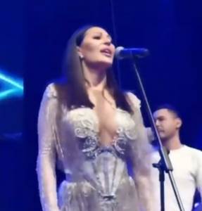  ceca raznatovic nastup 