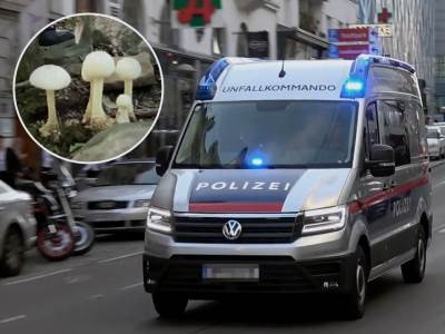  kobni provod hrvata u austriji 