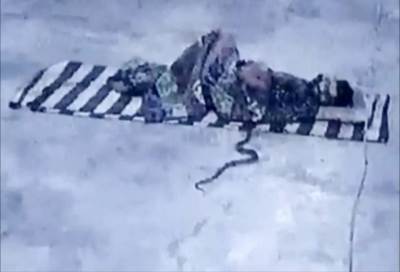  zmija otrovnica se zavukla pod cebe 