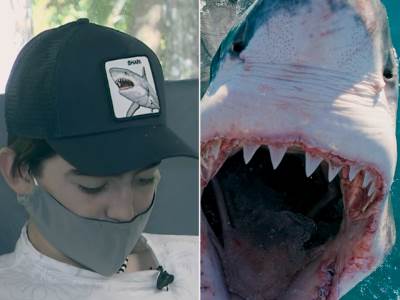  djecaka ajkula odgrizla noge 