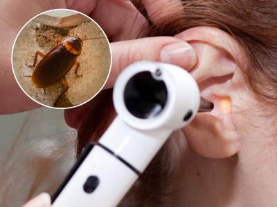  trudnici se buba uvukla u uho 