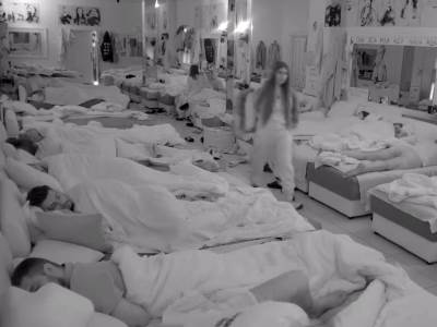  dalila i dejan zadruga 