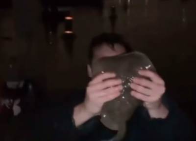  UZEO RAŽU GOLIM RUKAMA DA ISPRADNE HRABAR: Stavio je ispred LICA, u sekundi počeo da vrišti od bola i srušio se (VIDEO) 