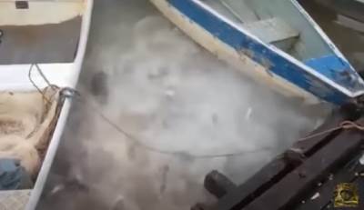  svijet muskarca ubile pirane 