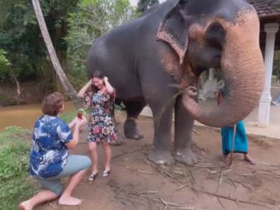  vjerili se glumac i glumica iz serije igre sudbine 