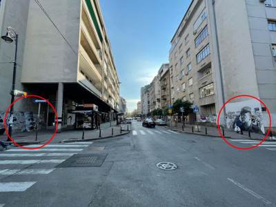  mural posvecen zivojinu misicu nikao u beogradu 