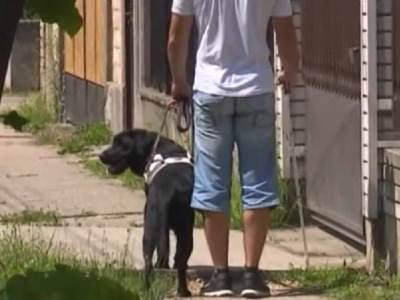  iran zabranjuje drzanje kucnih ljubimaca 