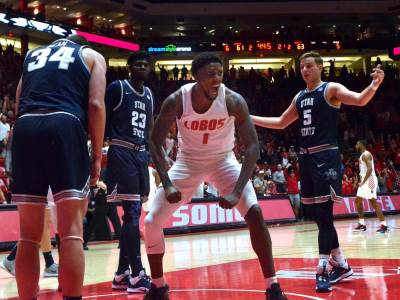  kori maninjo upucan u glavu 