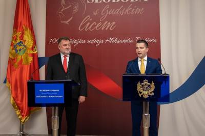  dubcek-simbol-borbe-protiv-nacizma-i-svih-oblika-fasizma 