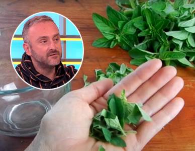  caj kod upale besike 