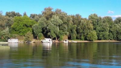  Velika tragedija: Troje djece nestalo u Tisi 