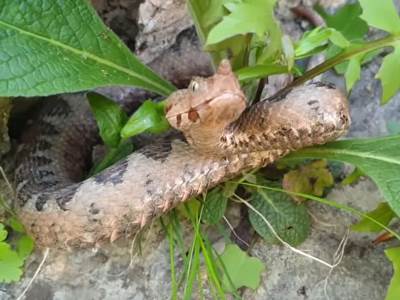  poskok hrvatska poplave 