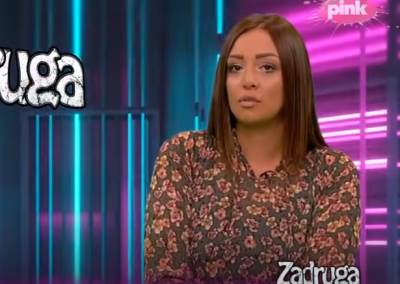  ana spasojevic o porodicnom nasilju 