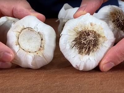  Evo šta kažu doktori - kako brzo da se otarasite neprijatnog zadaha 