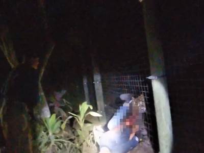  covjeka tigar ugrizao za ruku zooloski vrt florida 