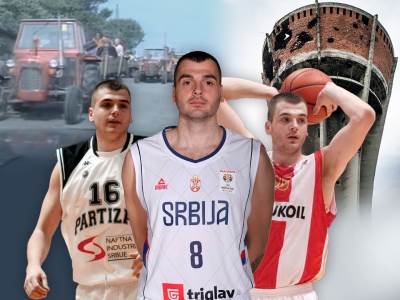  sava lesic o zivotu i karijeri 