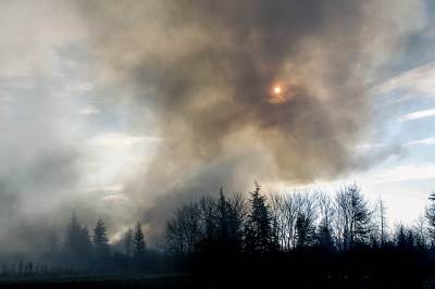  Veliki požar na Braču: I kuće bile u opasnosti 