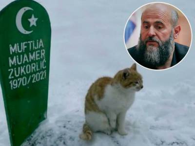  macak muamera zukorlica na grobu 