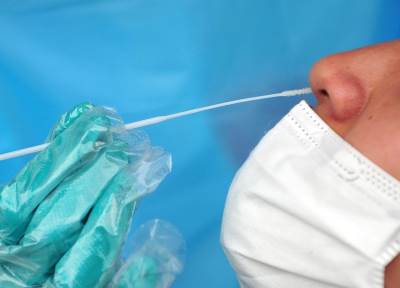  ijz korona presjek crna gora 