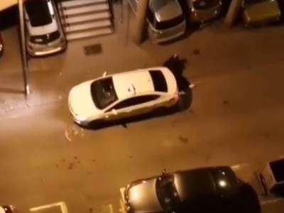  beograd pretucen taksista video 