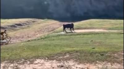  bik napao biciklistu 