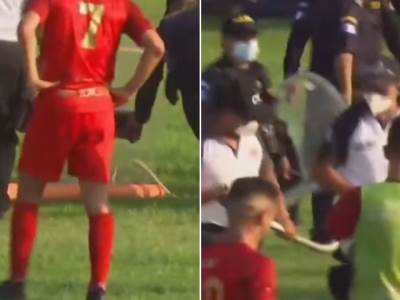  zmija prekinula fudbalsku utakmicu 