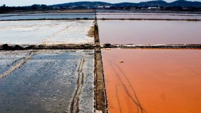  Država spremna da Solana bude zaštićeno područje 