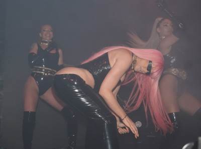  jelena karleusa zapalila instagram golim  