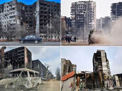  ljudi u marijupolju ubijaju pse jer nemaju sta da jedu 