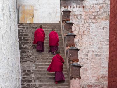  Tibetanski eliksir zdravlja 