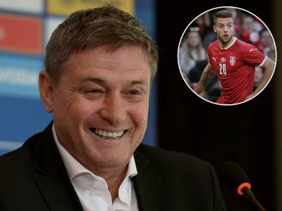  piksi o Sergeju Milinković-Saviću 