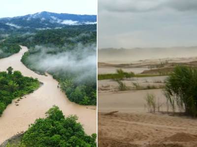  sjeca amazonske prasume rekord u 2022 godini  